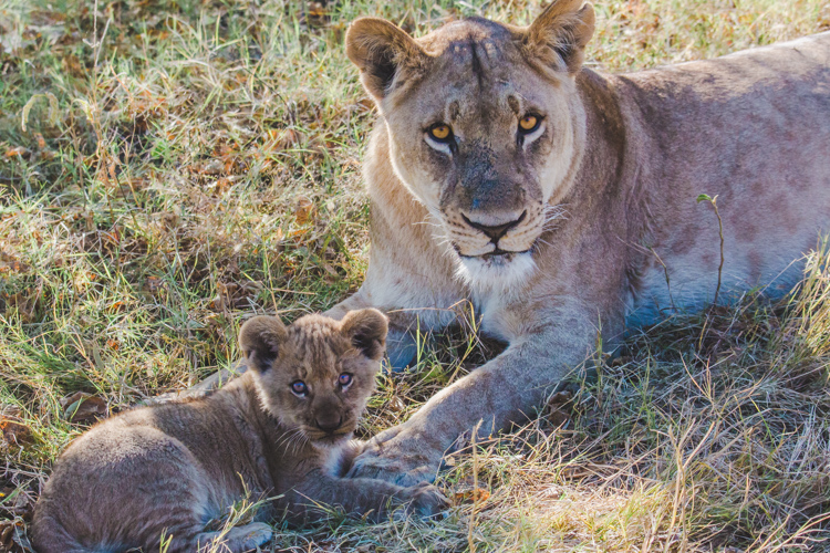 Babies (and Their&nbsp;Parents)
