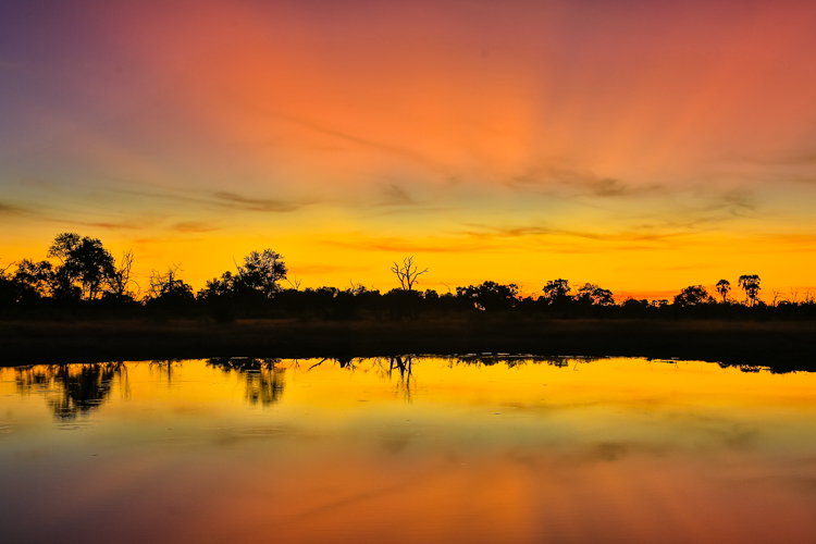 Our Final Game&nbsp;Drive