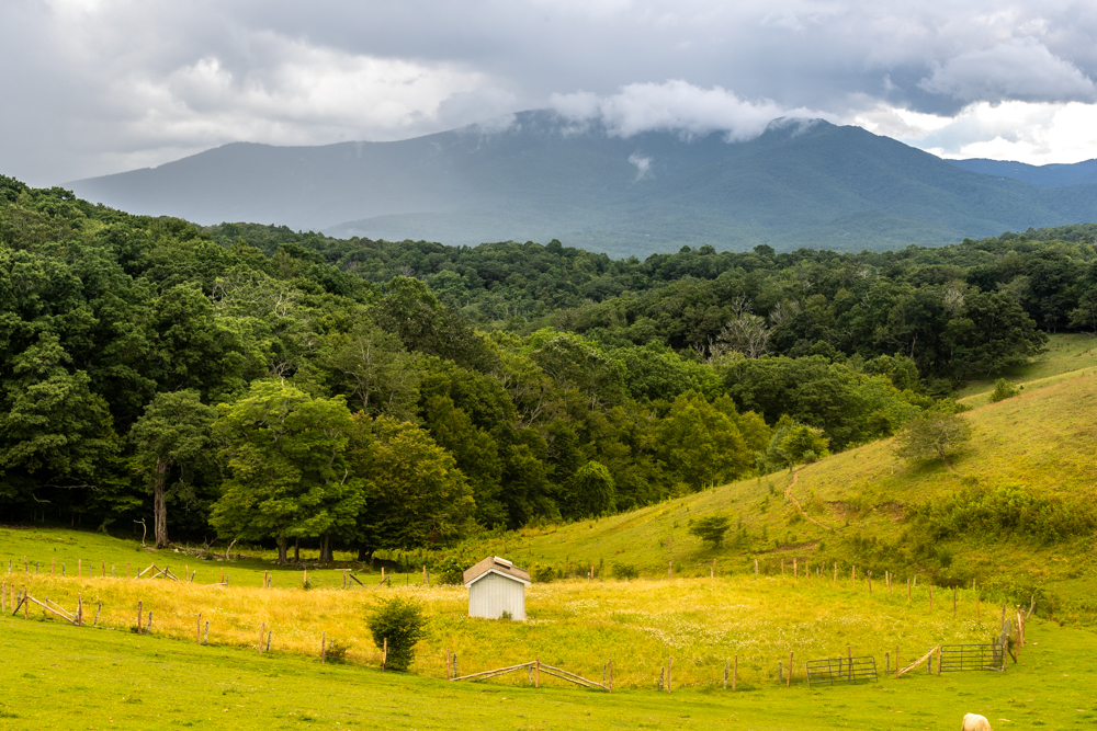 This Can’t Be a Good&nbsp;Idea