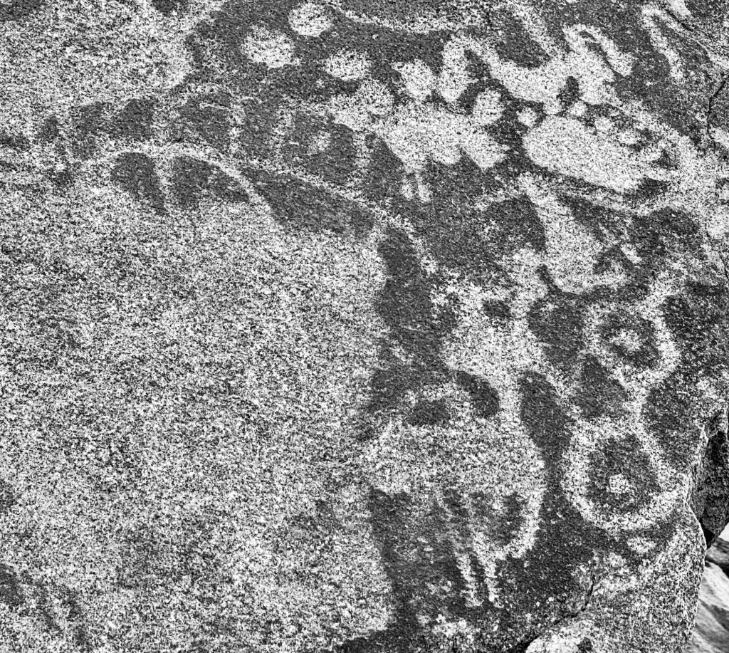 Series 17 – The Doubtful&nbsp;Fountain