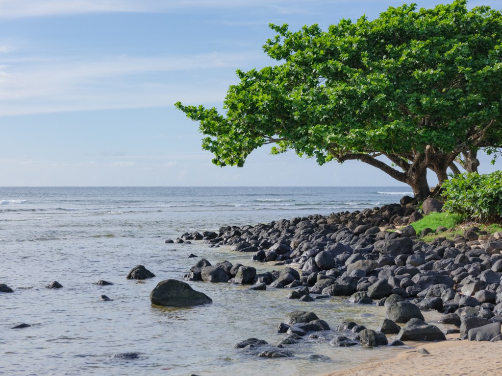 Series 18 – Arrival in&nbsp;Kauai