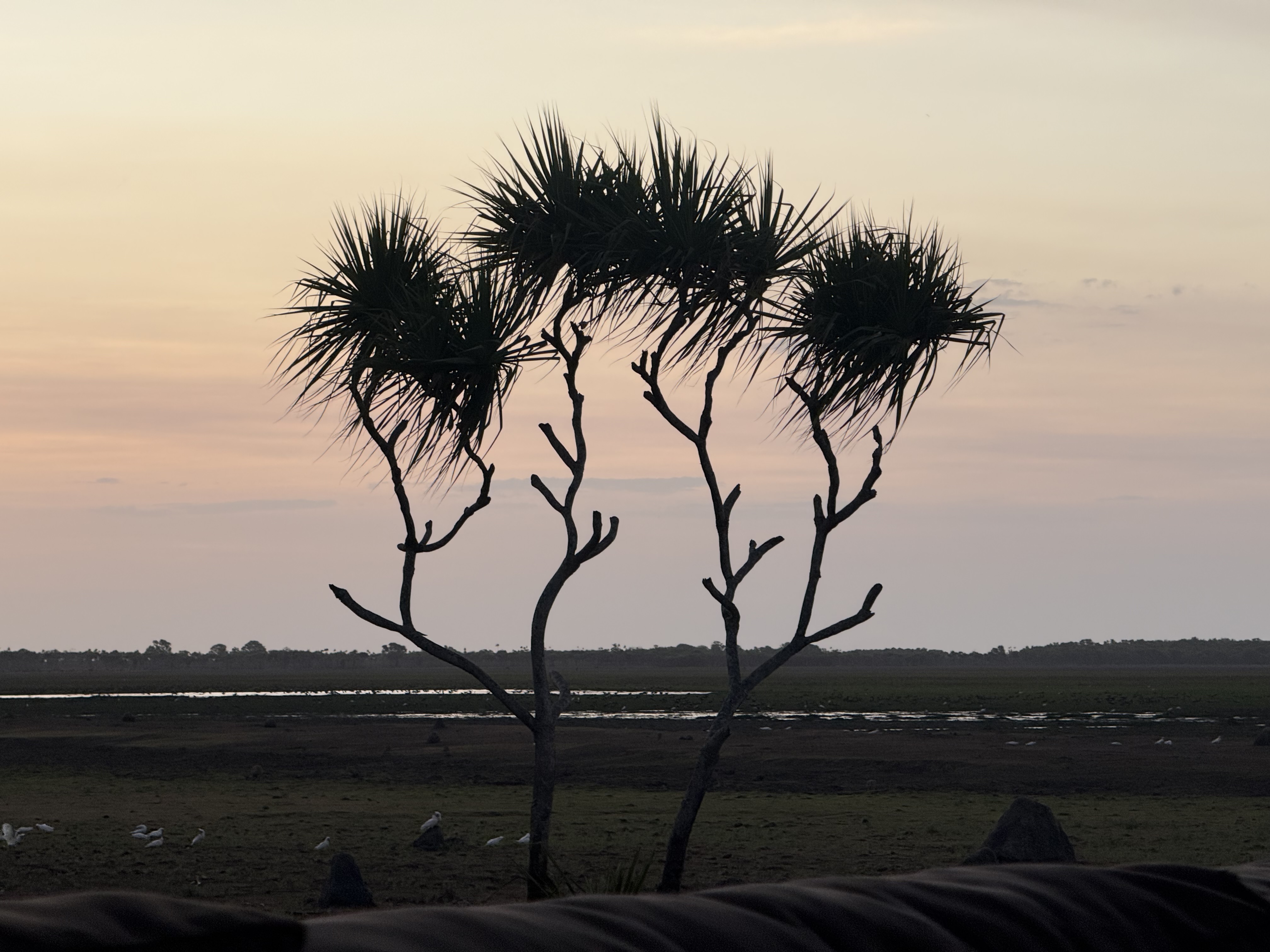 This dry flood plain won’t be dry for much long as the wet (and hot) season is about to begin.