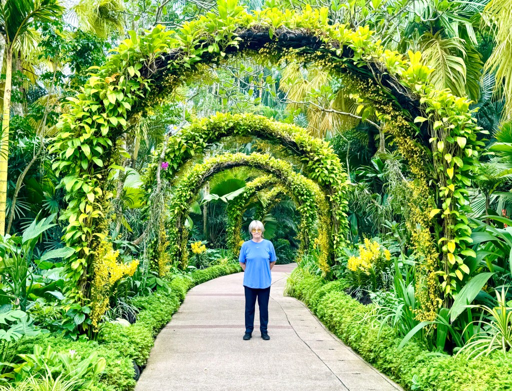 Series 21: Twenty Days With Mom: An 80th Birthday&nbsp;Expedition