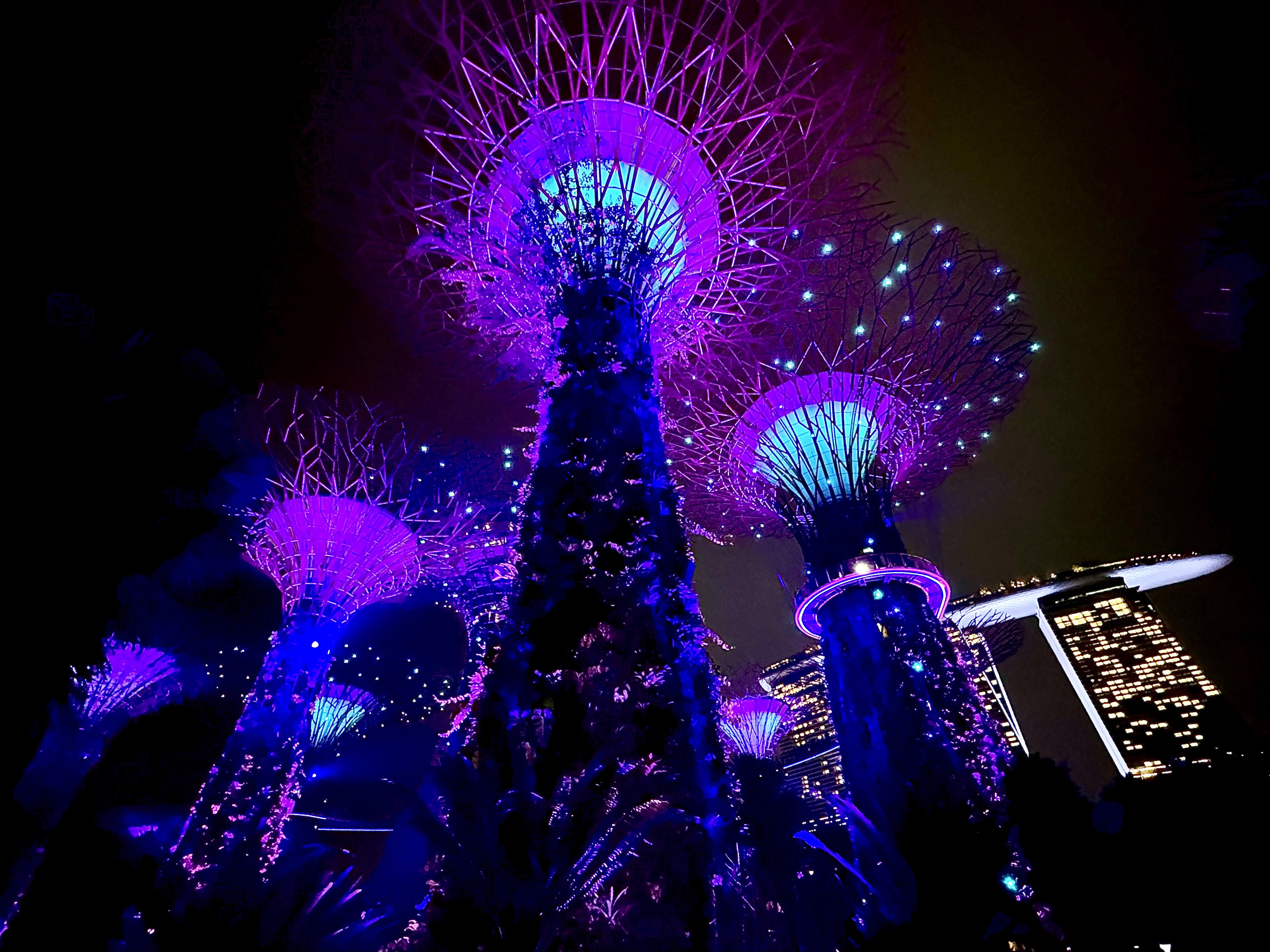 The manmade Supertrees in full bloom